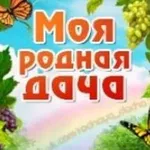 Аватар канала Моя Родная Дача