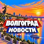 Аватар канала ВОЛГОГРАД НОВОСТИ