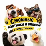 Аватар канала Пушистый юмор / юмор про животных