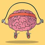 Аватар канала Учебная анатомия