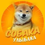 Аватар канала Собака-улыбака | Собаки Юмор Животные