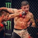 Аватар канала В НОКАУТЕ 👊🏻 ММА