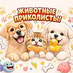 Аватар канала MAX — быстрое и легкое приложение для общения и решения пов…