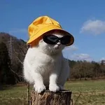 Аватар канала то сё мусё