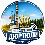 Аватар канала Подслушано Дюртюли