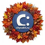 Аватар канала Citysakh.ru: новости Сахалина и Курил