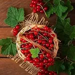 Аватар канала Корзинка