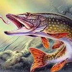 Аватар канала Рыбалка. Рыба. Рыбаки🎣