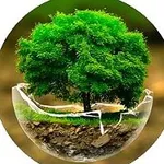 Аватар канала Удивительный мир