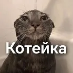 Аватар канала Котейка