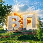 Аватар канала MAX — быстрое и легкое приложение для общения и решения пов…