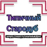 Аватар канала Типичный Стародуб