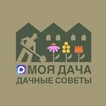 Аватар канала Моя дача | Дачные советы