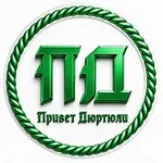 Аватар канала Привет Дюртюли✅