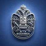 Аватар канала БГТУ «ВОЕНМЕХ» им. Д.Ф. Устинова