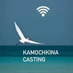 Аватар канала Kamochkinacasting
