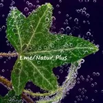 Аватар канала 🌱 NaturPlus* 🌱