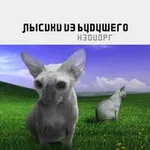 Аватар канала Нэдиорг