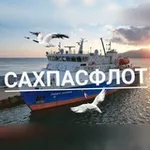 Аватар канала САХПАСФЛОТ ⚓ Морские линии.