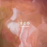 Аватар канала ecomandarin