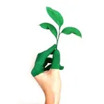 Аватар канала 🌿 Зеленые пальцы 🌿