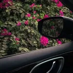 Аватар канала ‏﴿وَنَجِّنَا بِرَحْمَتِكَ﴾