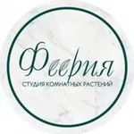 Аватар канала Студия комнатных растений ФЕЕРИЯ