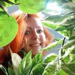 Аватар канала Лисьи Дебри