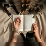 Аватар канала Лапки на страницах 🐾
