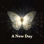 Аватар канала A New Day ✨
