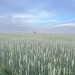 Аватар канала Байгускар