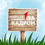 Аватар канала За Кадром | Новости Первых