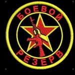 Аватар канала Боевой резерв