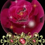 Аватар канала هِمََّس أّلَقِصٌيِّدِ 💘