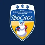 Аватар канала ВК «ПРОСНЕГ»