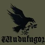 Аватар канала Wudufugol