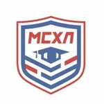 Аватар канала Студенческий хоккей Москвы 🏒