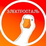 Аватар канала Подслушано Электросталь
