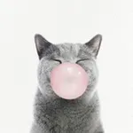 Аватар канала WBpinterest