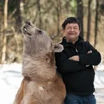 Аватар канала Журналист на всю голову