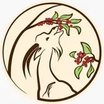 Аватар канала Hogar Café