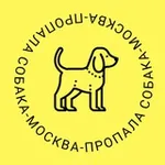Аватар канала Пропала собака Москва