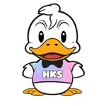 Аватар канала HKS: Auctions