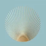 Аватар канала Forte dei Mommy 🐚