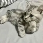 Аватар канала W1NDY