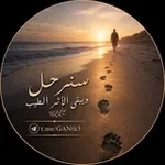 Аватар канала 🧡 °°( ̨سنرحل ويبقى الأثر الطيب )°°