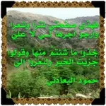 Аватар канала قناة الشاعر حمود بن قائد البعادني
