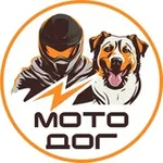 Аватар канала СВОИ 🐾