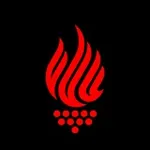 Аватар канала Червона Калина