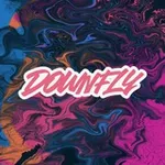 Аватар канала DOWNFLY